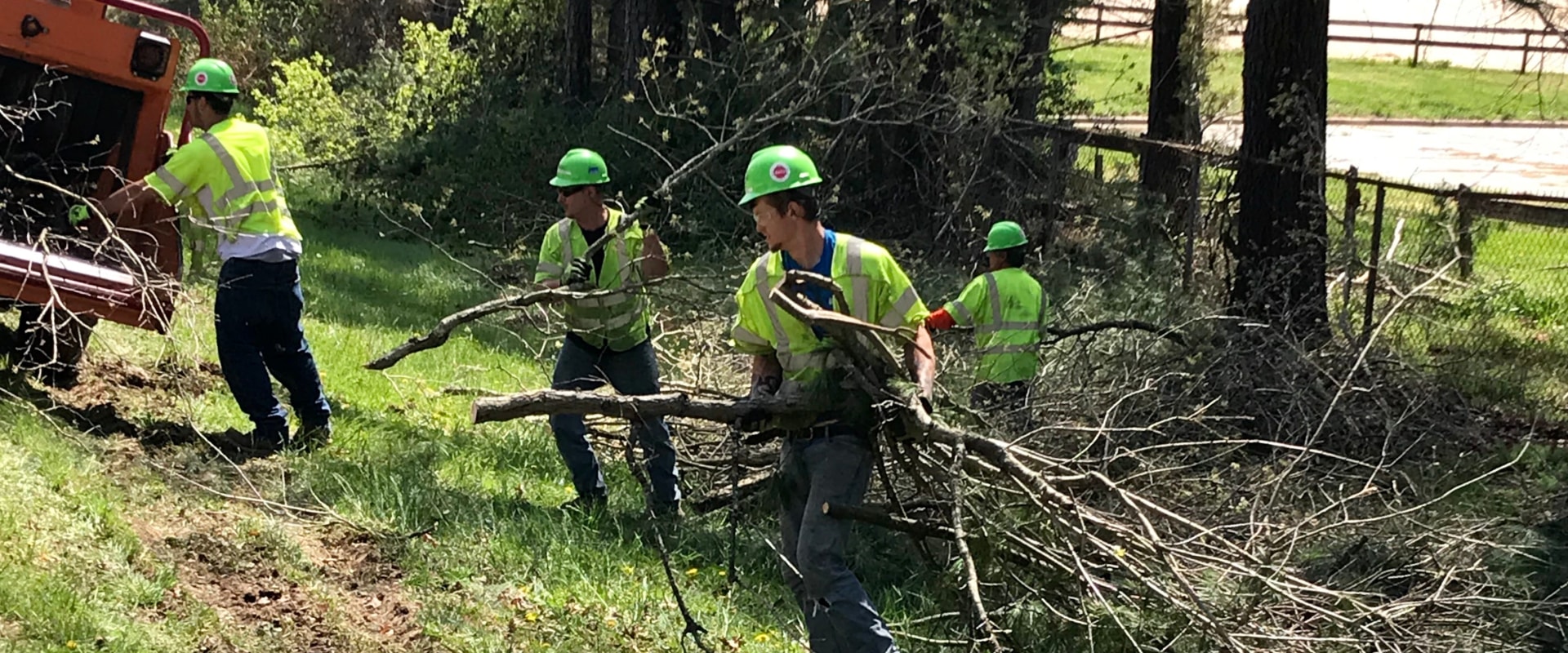 The Process of Disposing Debris After a Tree Job