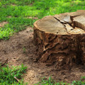 Stump Grinding and Removal