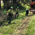 The Process of Disposing Debris After a Tree Job