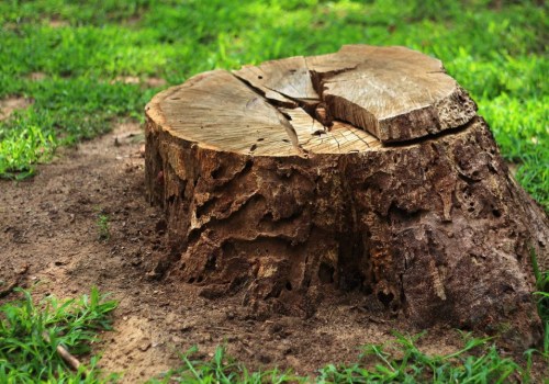 Stump Grinding and Removal