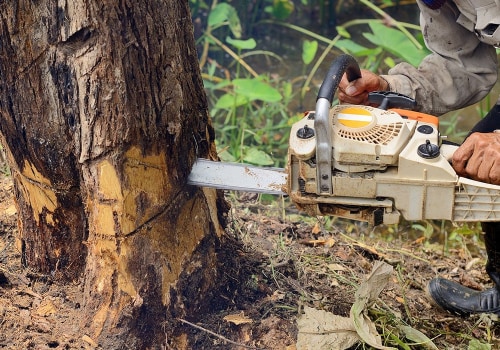 Emergency Tree Services